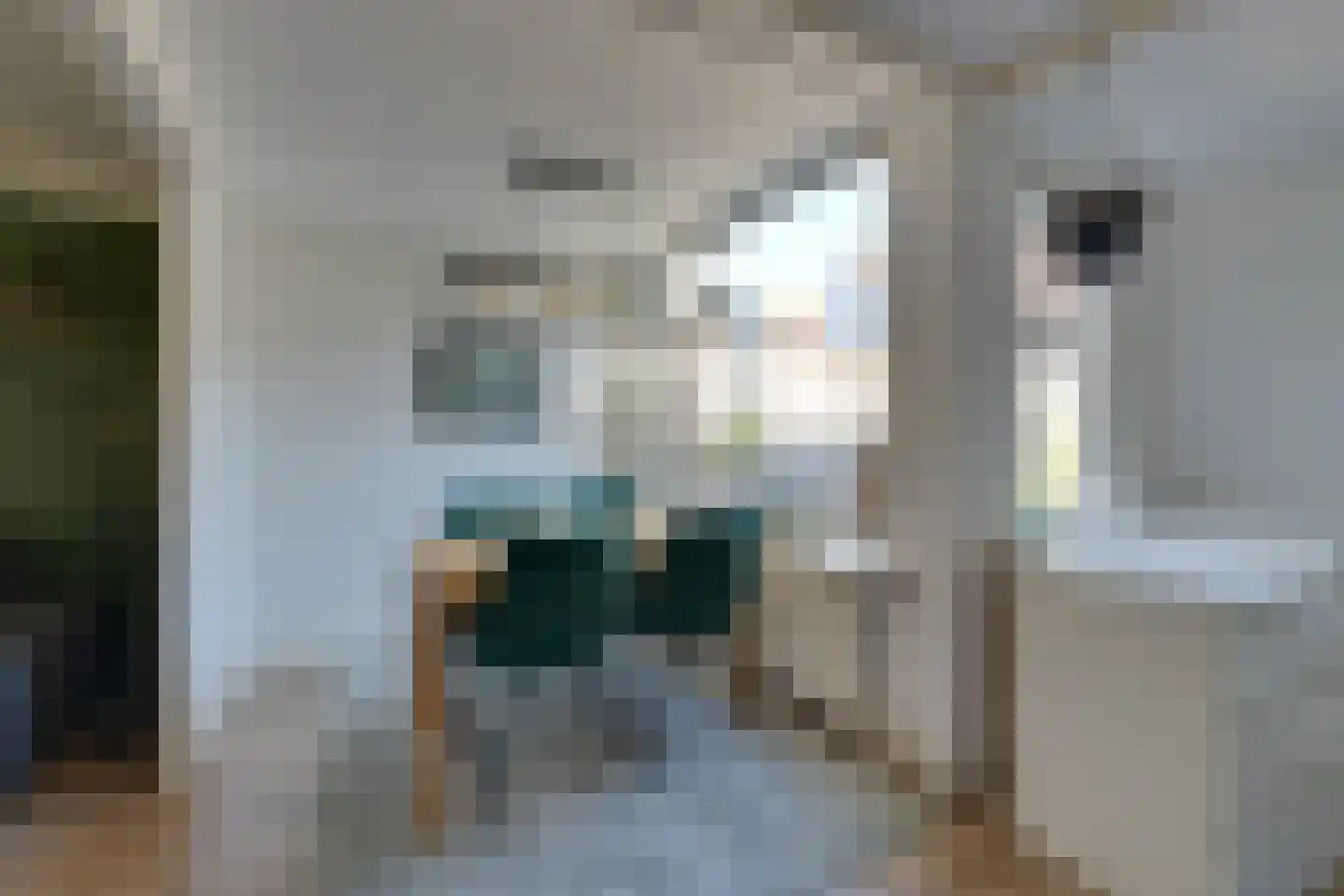 Hein Tuijpstraat 14 Volendam thumbnail 19