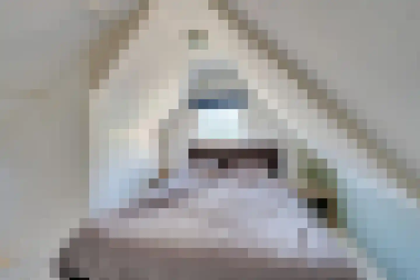 Hein Tuijpstraat 14 Volendam thumbnail 5