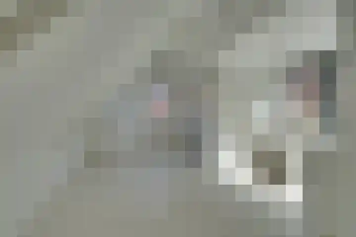 Hein Tuijpstraat 21 Volendam thumbnail 26