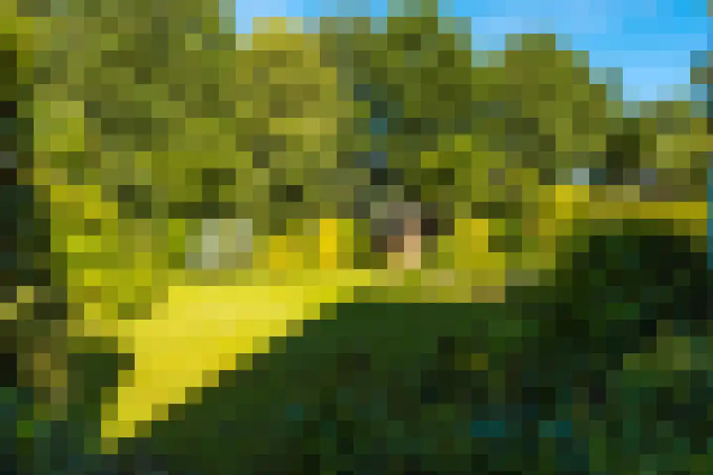 Hein Voswei 14 Tijnje thumbnail 10