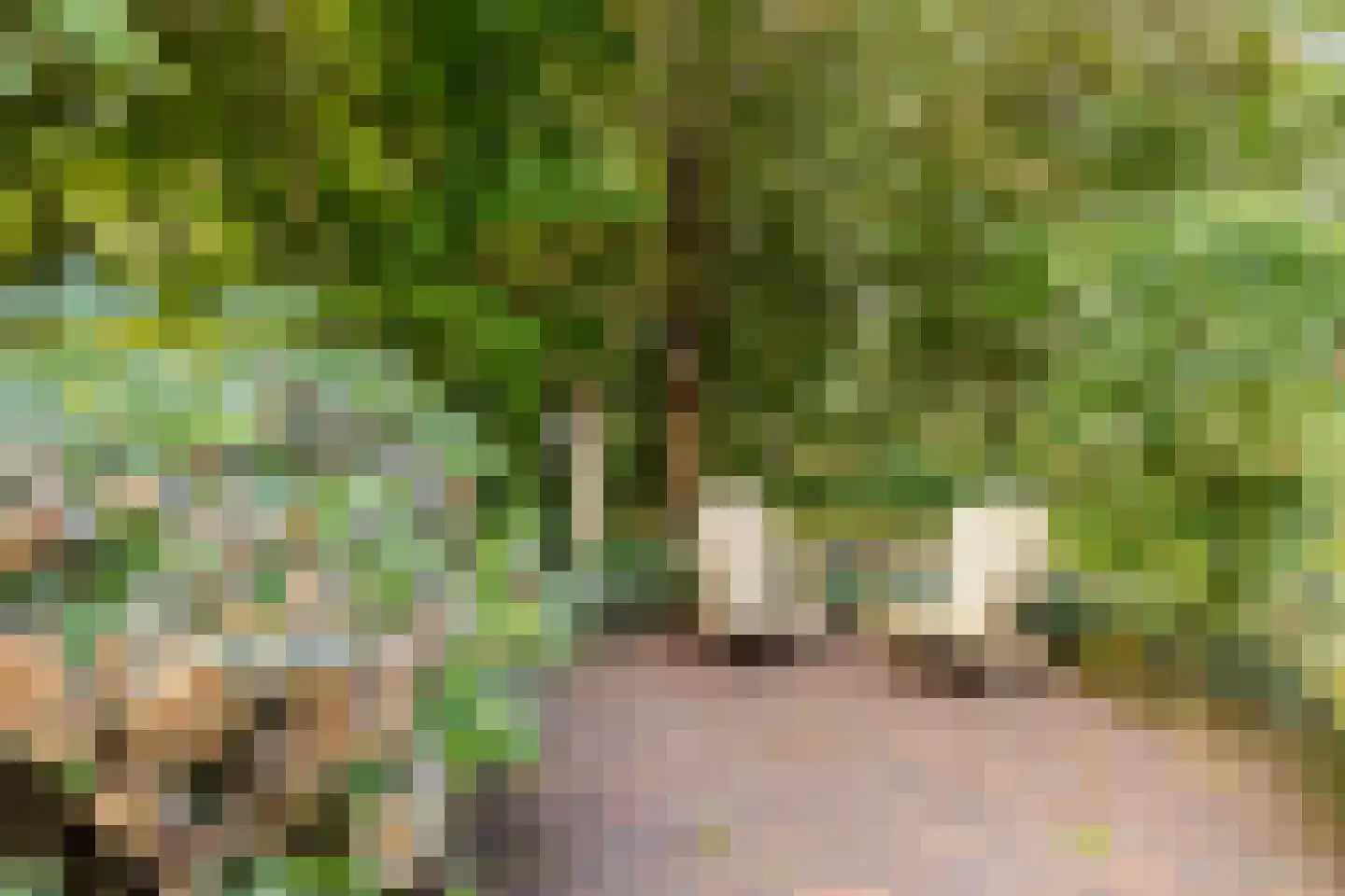Hein Voswei 40 Tijnje thumbnail 15