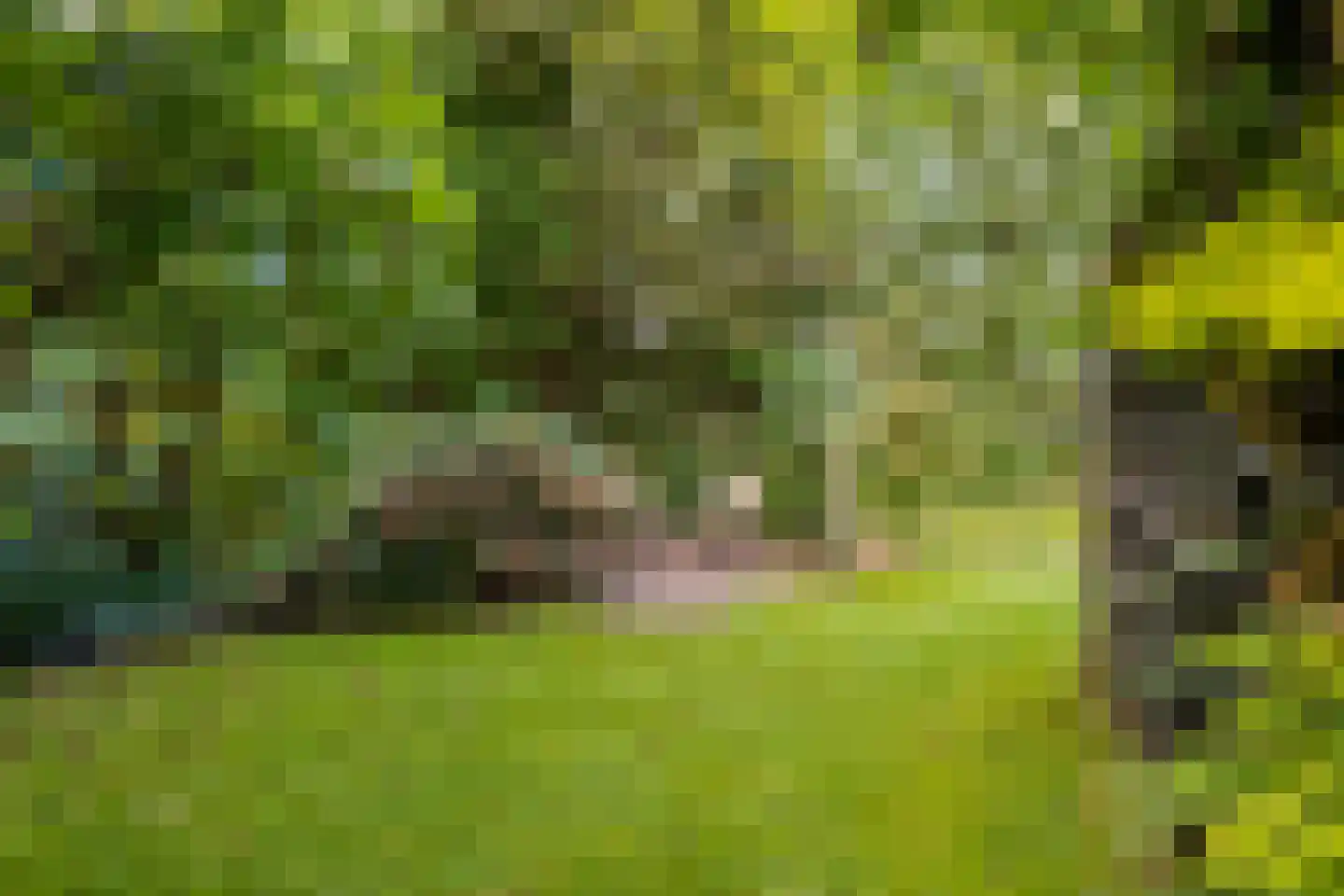 Hein Voswei 40 Tijnje thumbnail 16