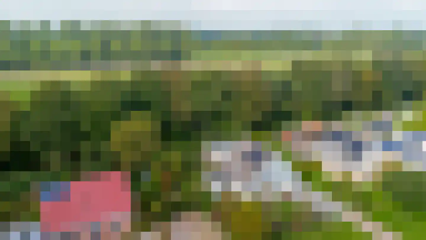 Hein Voswei 40 Tijnje thumbnail 19