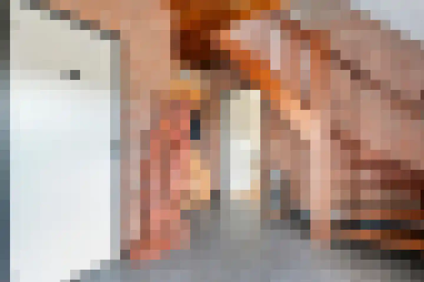 Heinbaaswijk 6 Dedemsvaart thumbnail 10