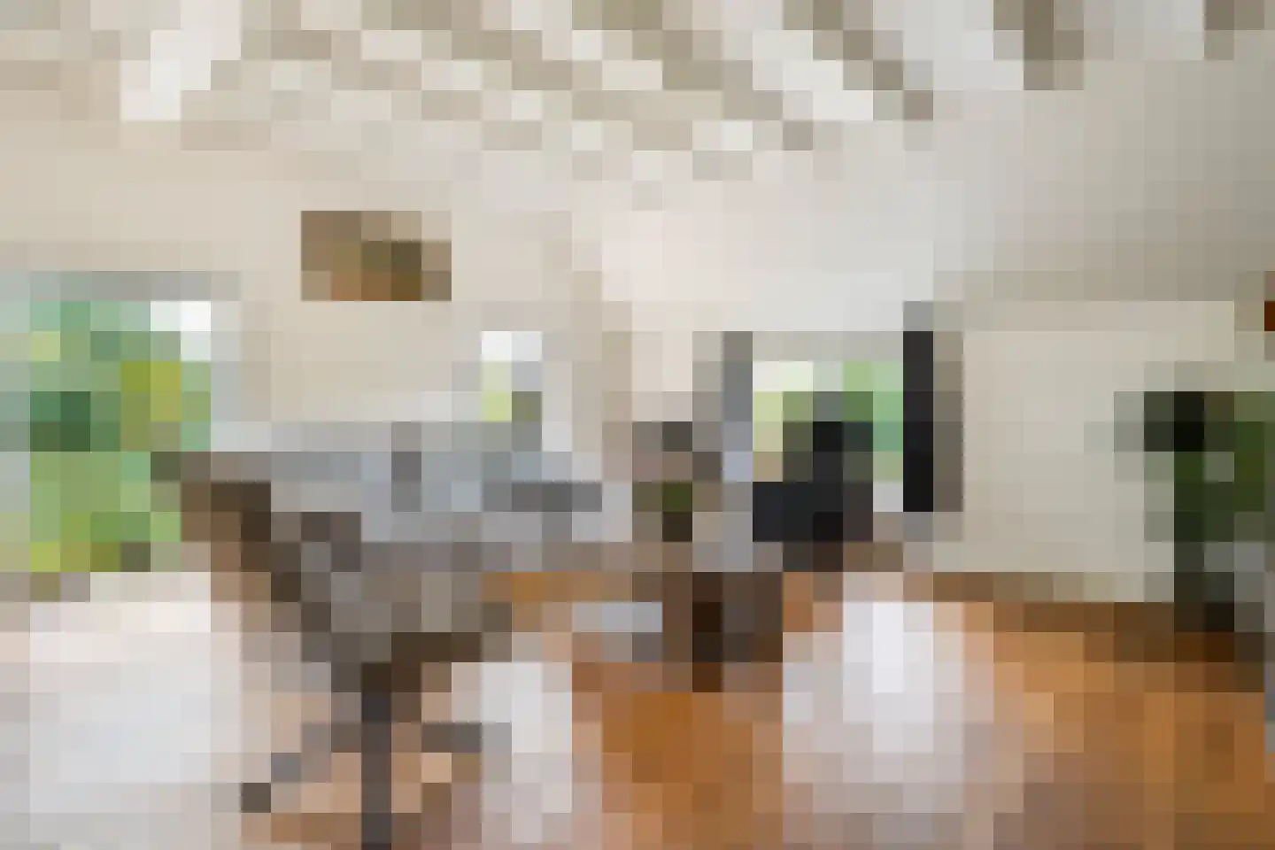 Heinbaaswijk 6 Dedemsvaart thumbnail 11