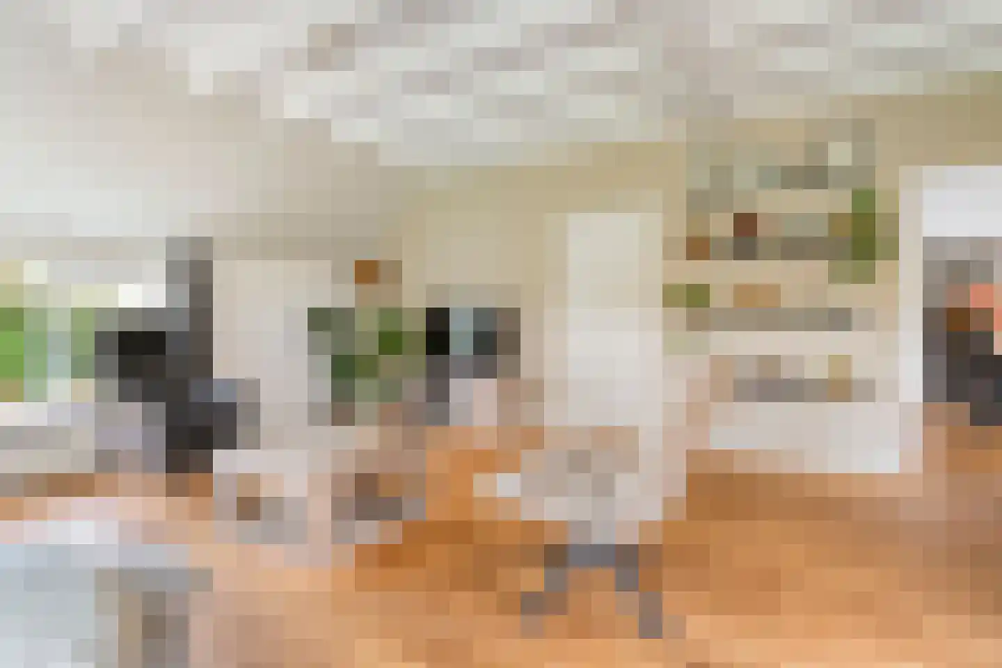 Heinbaaswijk 6 Dedemsvaart thumbnail 12