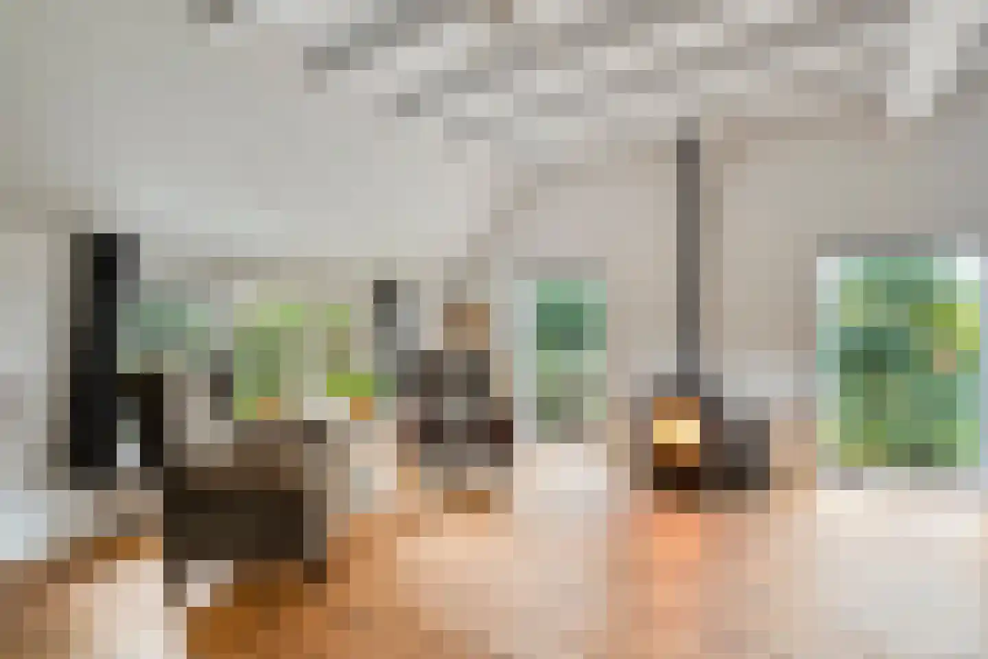 Heinbaaswijk 6 Dedemsvaart thumbnail 15