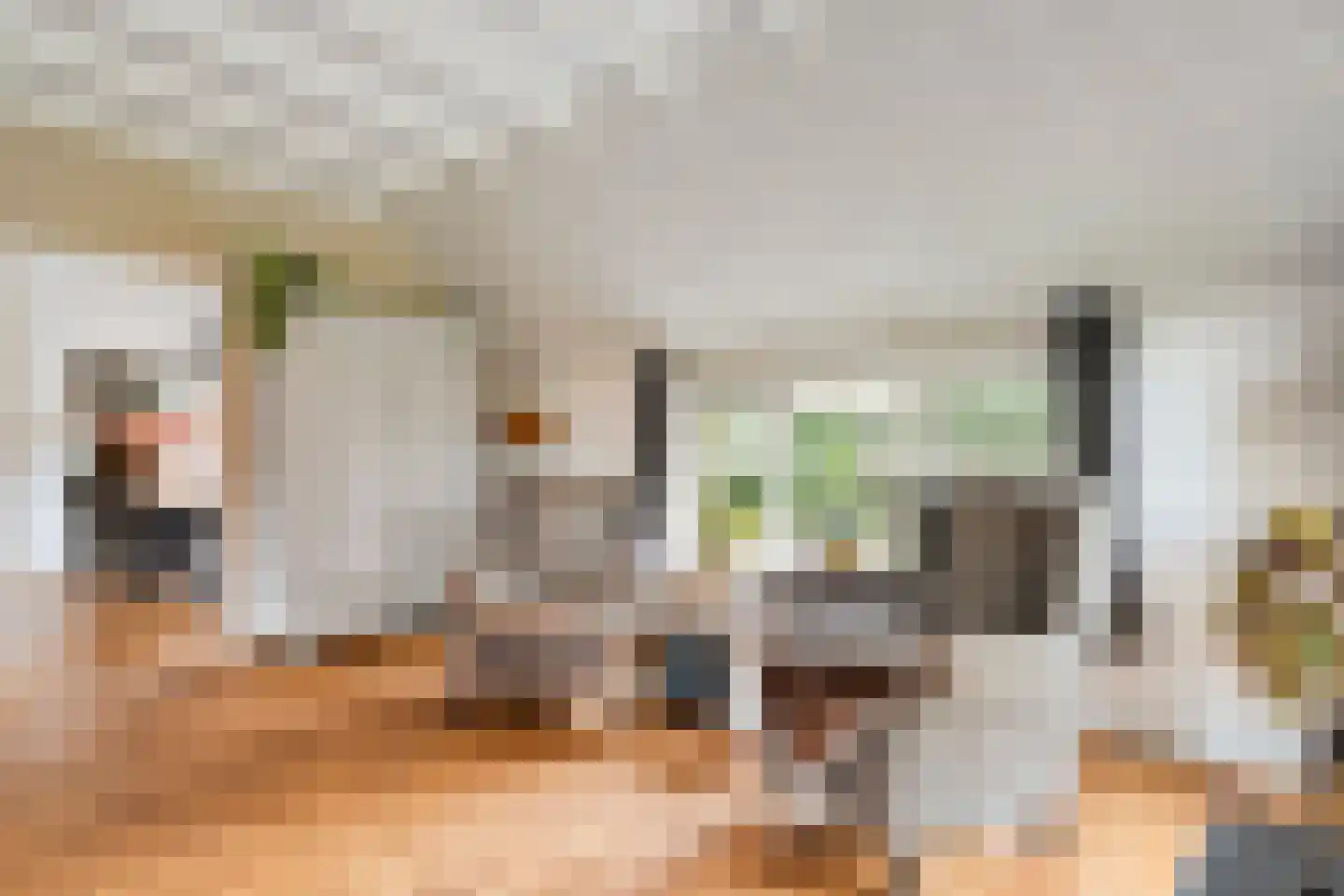 Heinbaaswijk 6 Dedemsvaart thumbnail 16