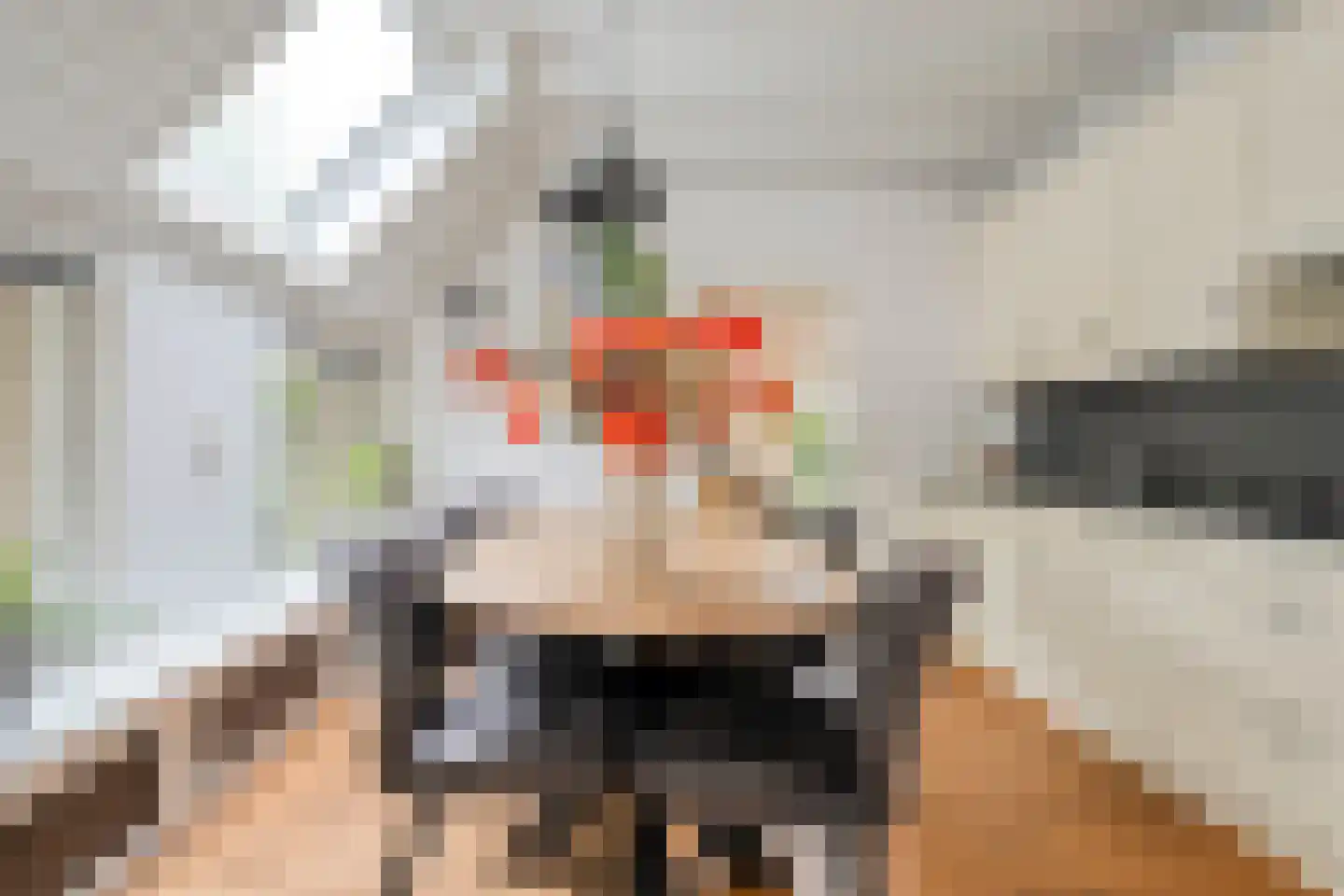 Heinbaaswijk 6 Dedemsvaart thumbnail 18
