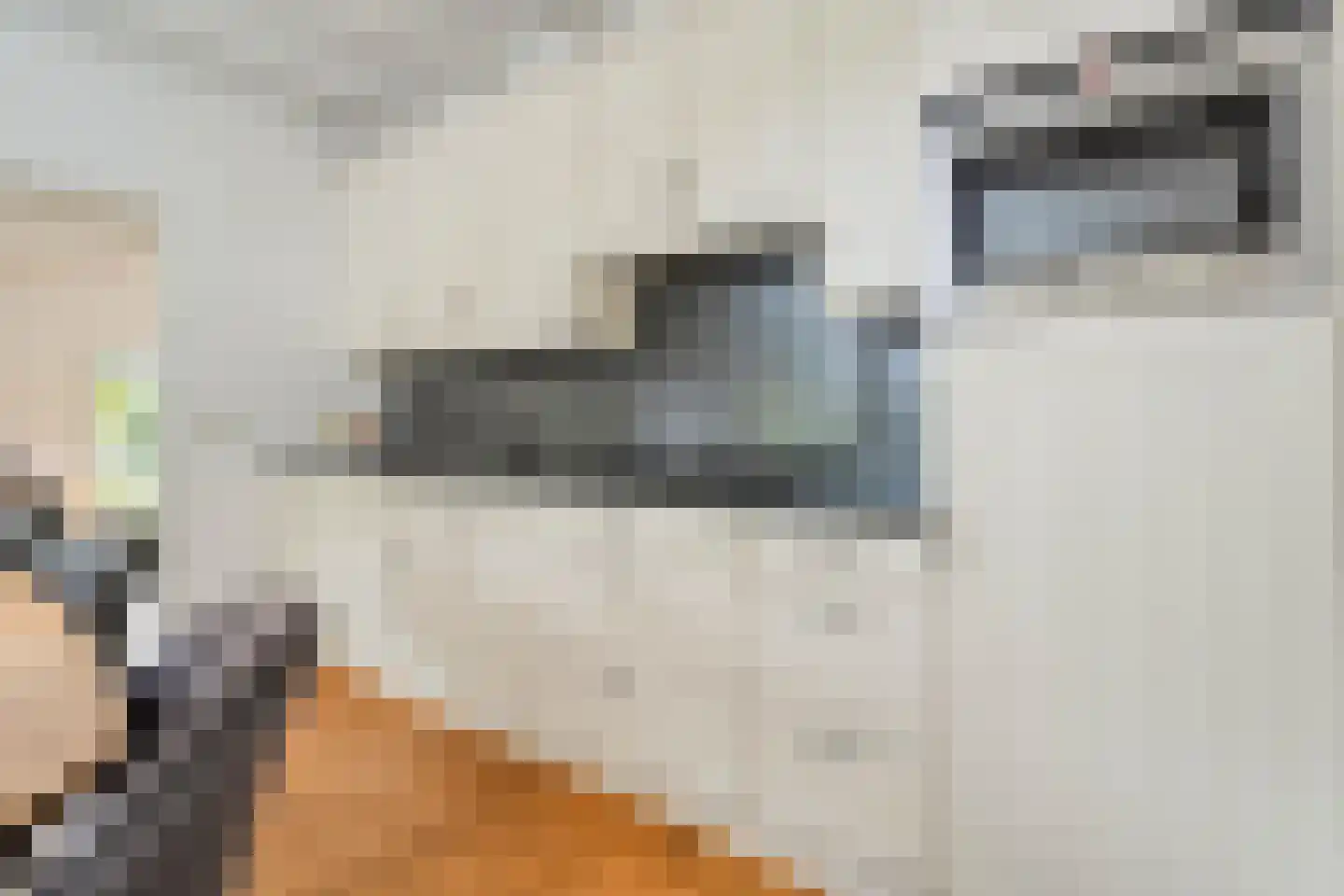 Heinbaaswijk 6 Dedemsvaart thumbnail 20