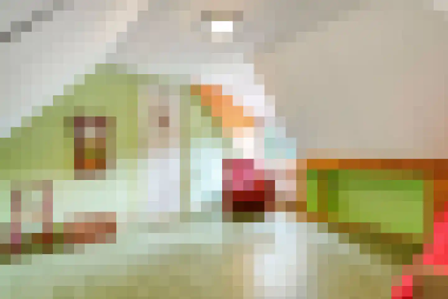Heinbaaswijk 6 Dedemsvaart thumbnail 34