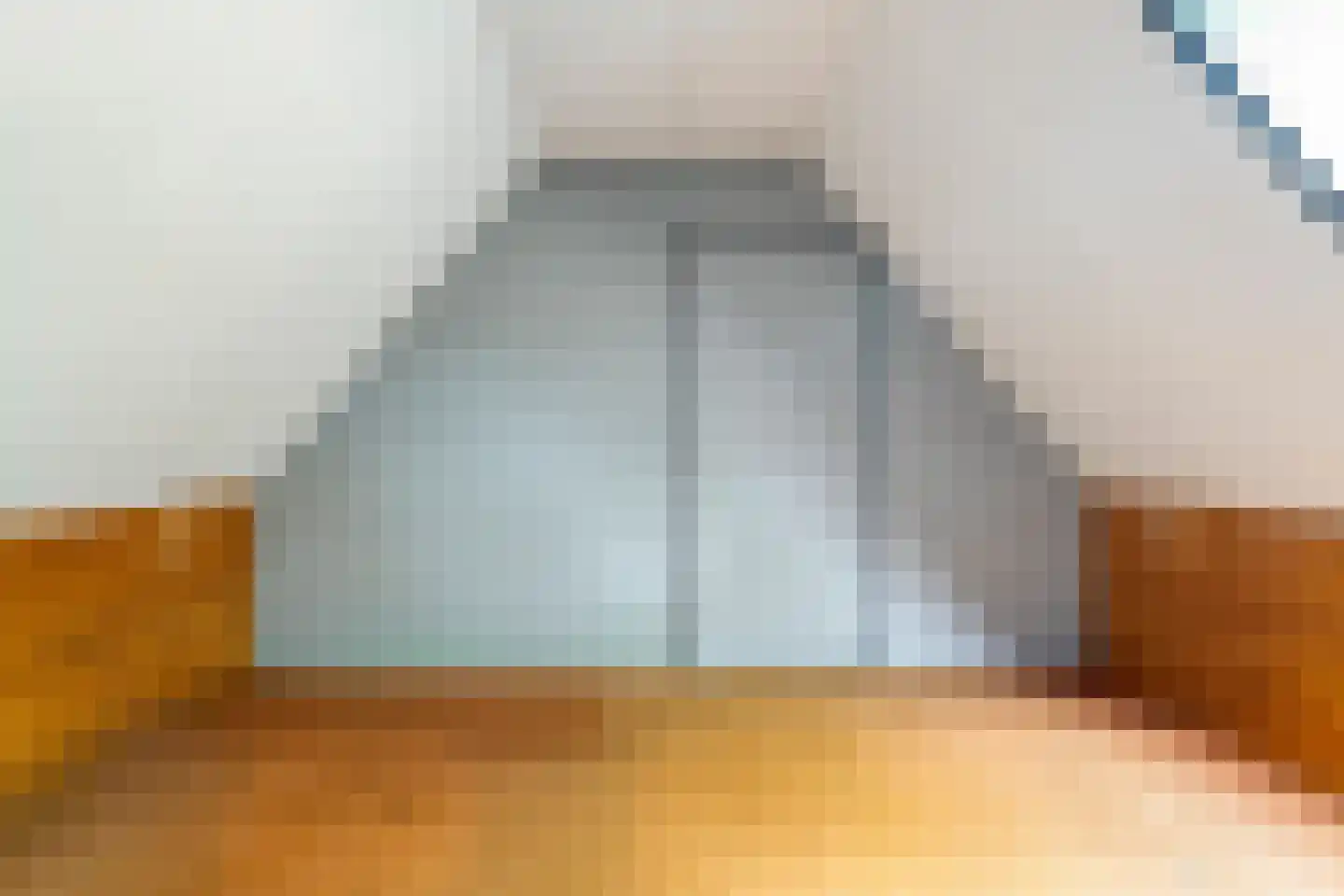 Heinbaaswijk 6 Dedemsvaart thumbnail 39