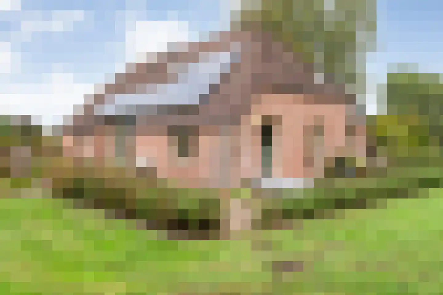 Heinbaaswijk 6 Dedemsvaart thumbnail 4