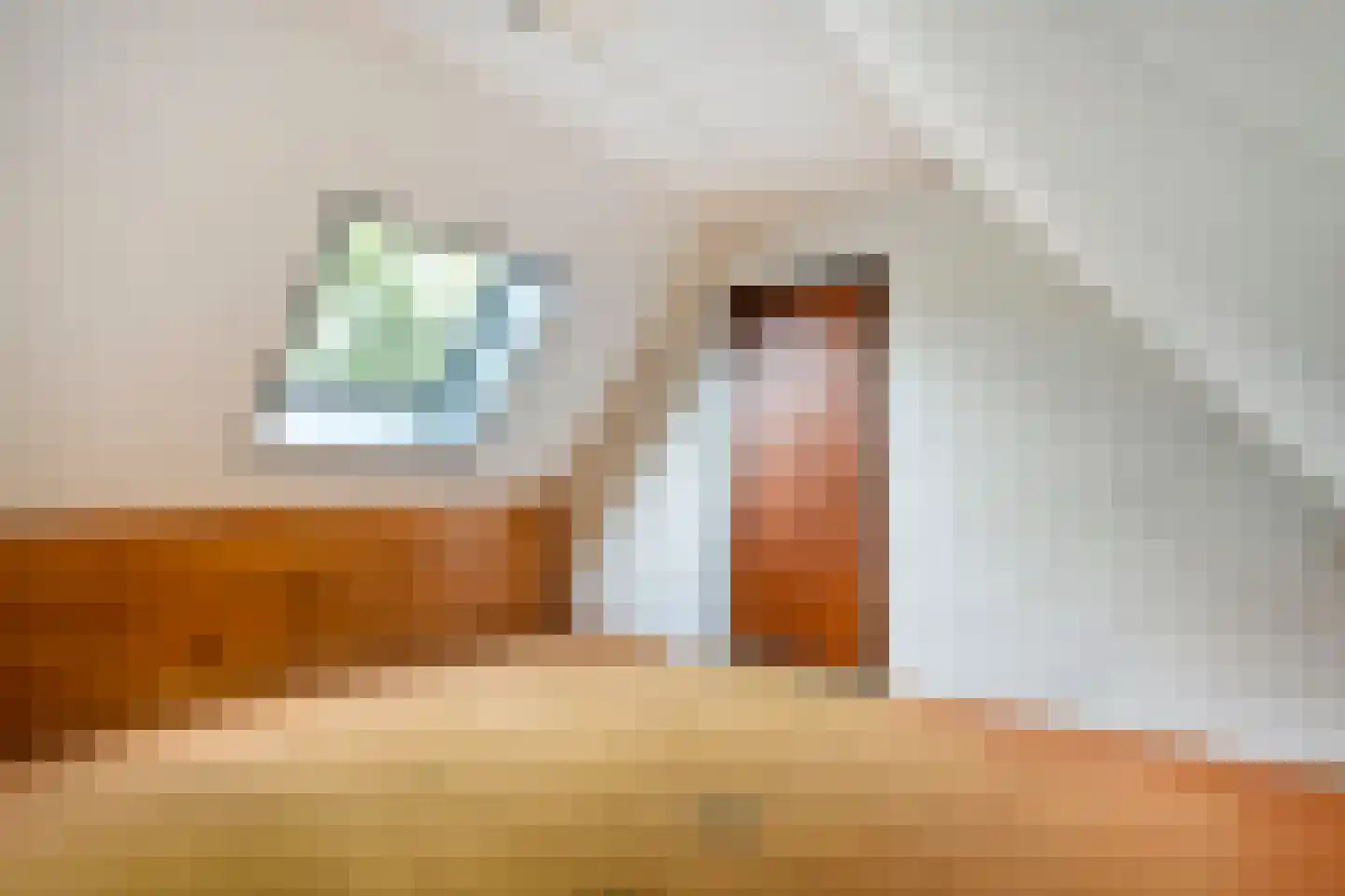 Heinbaaswijk 6 Dedemsvaart thumbnail 40