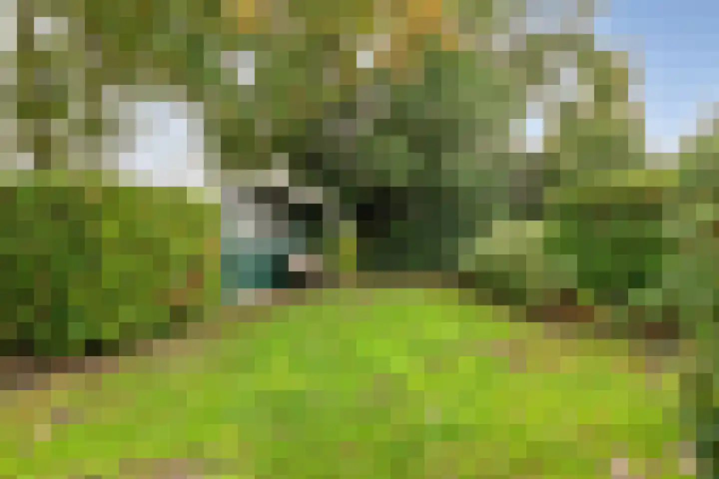Heinbaaswijk 6 Dedemsvaart thumbnail 42