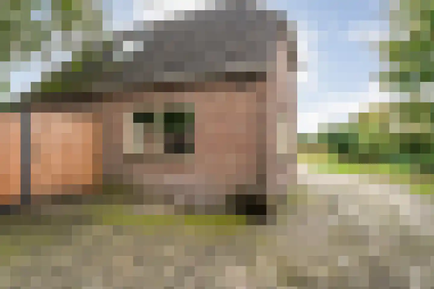 Heinbaaswijk 6 Dedemsvaart thumbnail 45