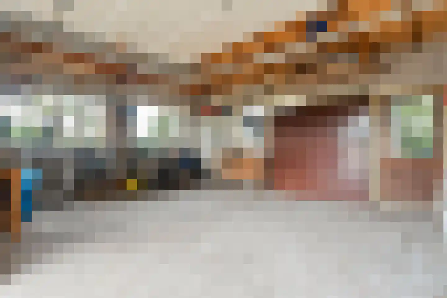 Heinbaaswijk 6 Dedemsvaart thumbnail 47