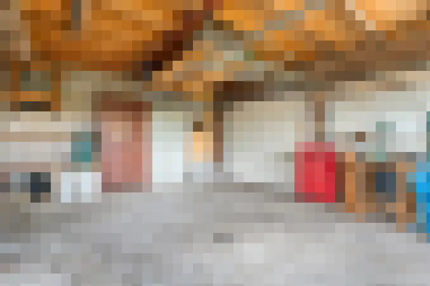 Heinbaaswijk 6 Dedemsvaart thumbnail 48
