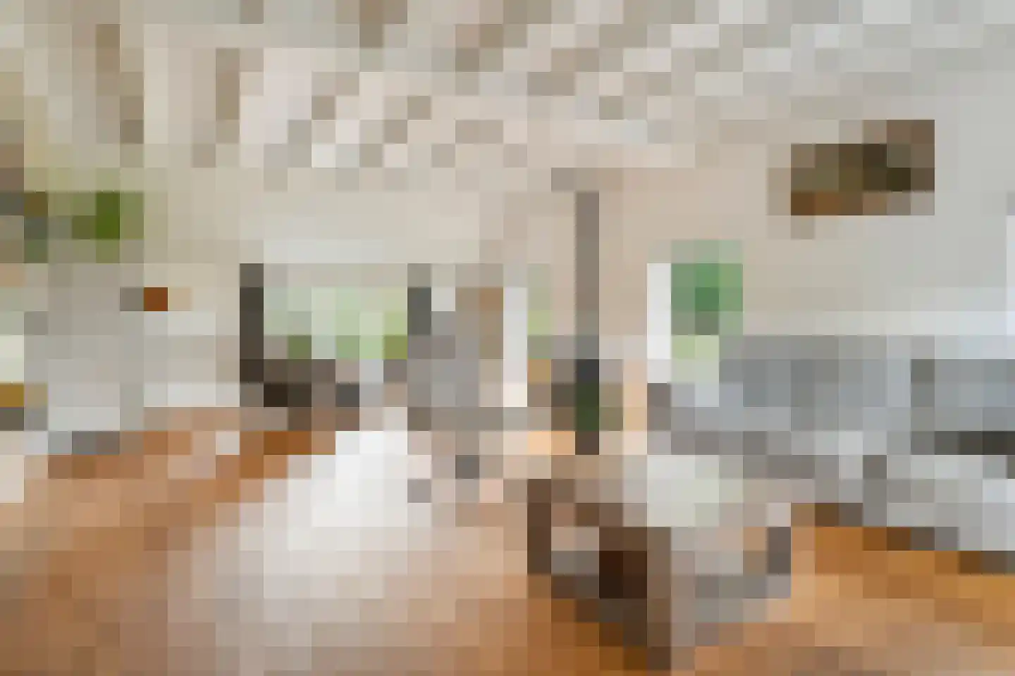 Heinbaaswijk 6 Dedemsvaart thumbnail 5