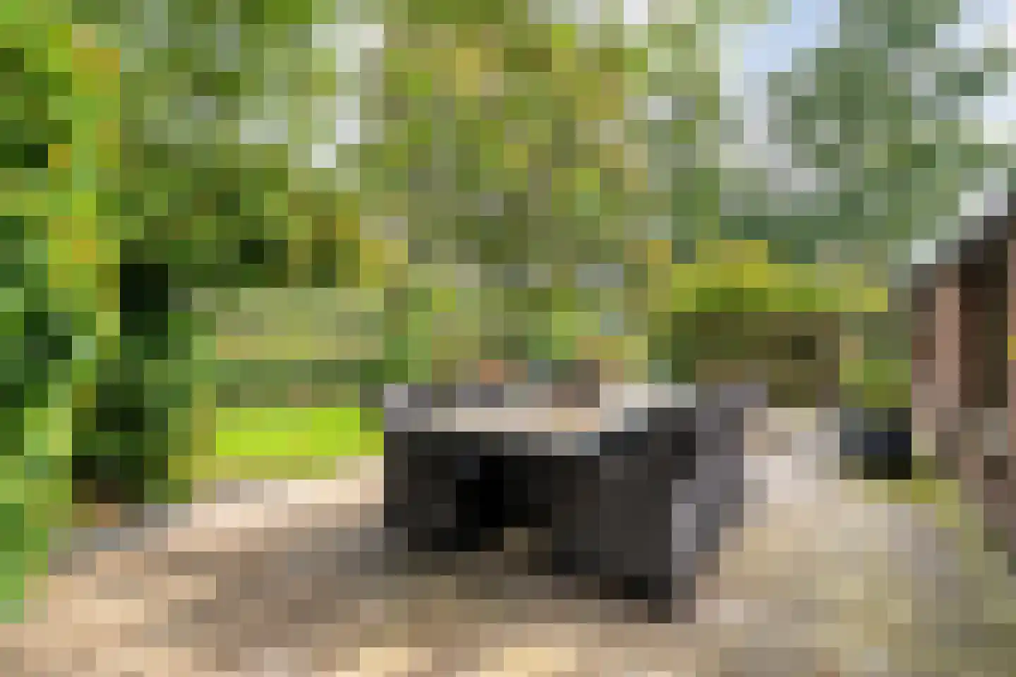 Heinbaaswijk 6 Dedemsvaart thumbnail 50
