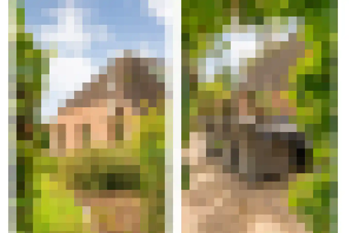 Heinbaaswijk 6 Dedemsvaart thumbnail 51