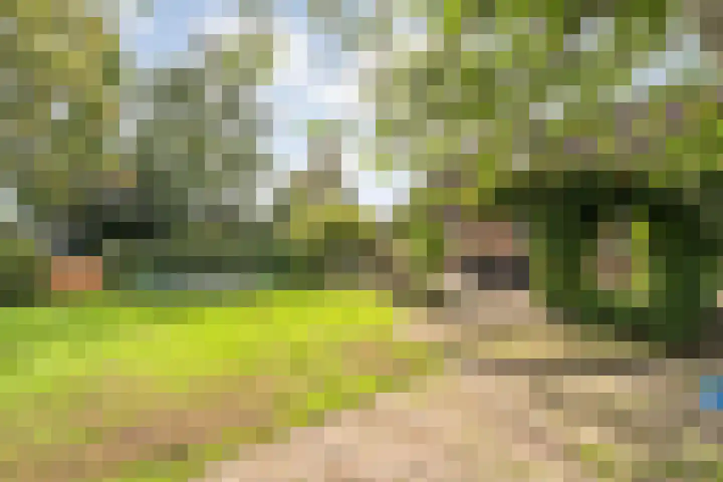 Heinbaaswijk 6 Dedemsvaart thumbnail 52