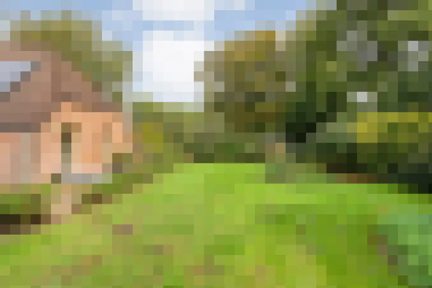 Heinbaaswijk 6 Dedemsvaart thumbnail 55
