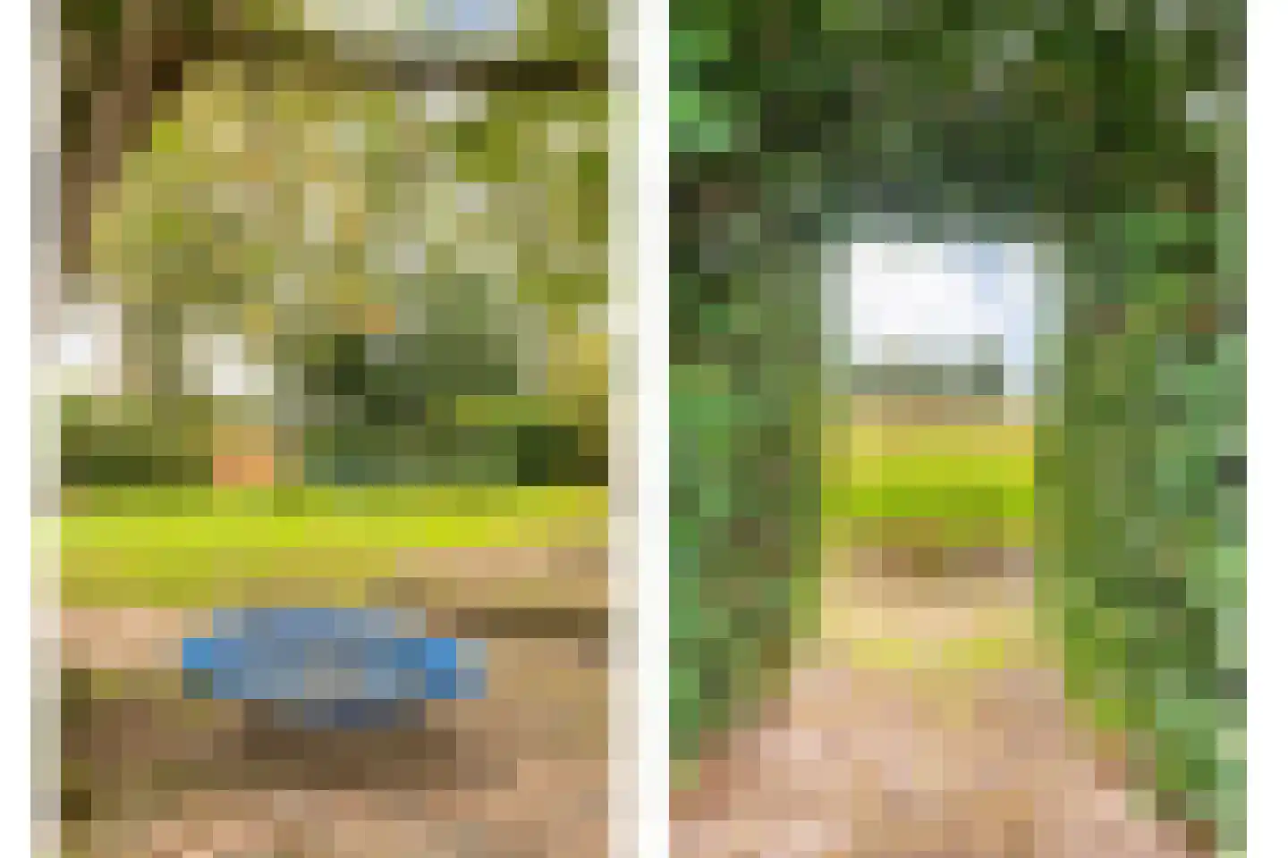 Heinbaaswijk 6 Dedemsvaart thumbnail 56