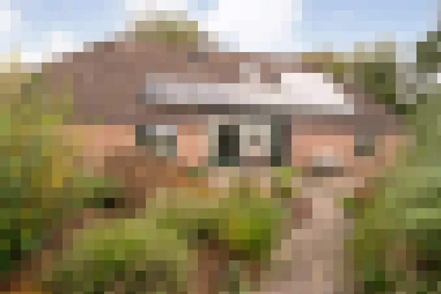 Heinbaaswijk 6 Dedemsvaart thumbnail 58