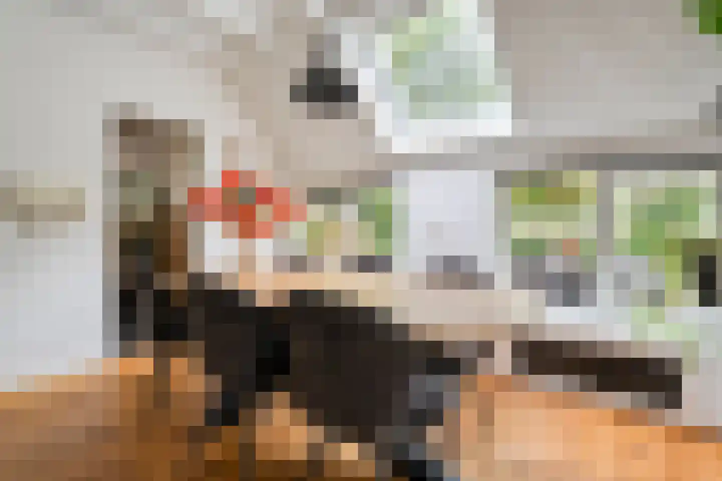 Heinbaaswijk 6 Dedemsvaart thumbnail 6