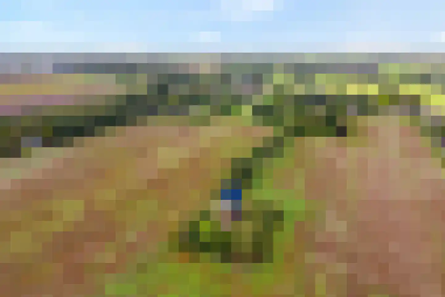 Heinbaaswijk 6 Dedemsvaart thumbnail 60