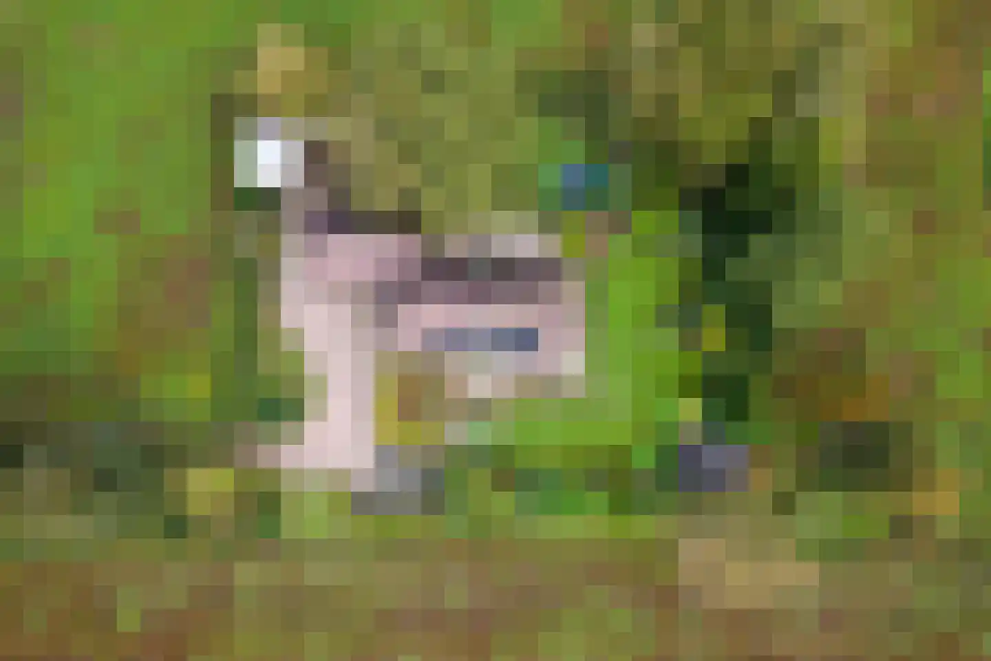 Heinbaaswijk 6 Dedemsvaart thumbnail 61