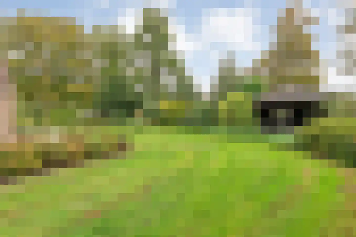Heinbaaswijk 6 Dedemsvaart thumbnail 8