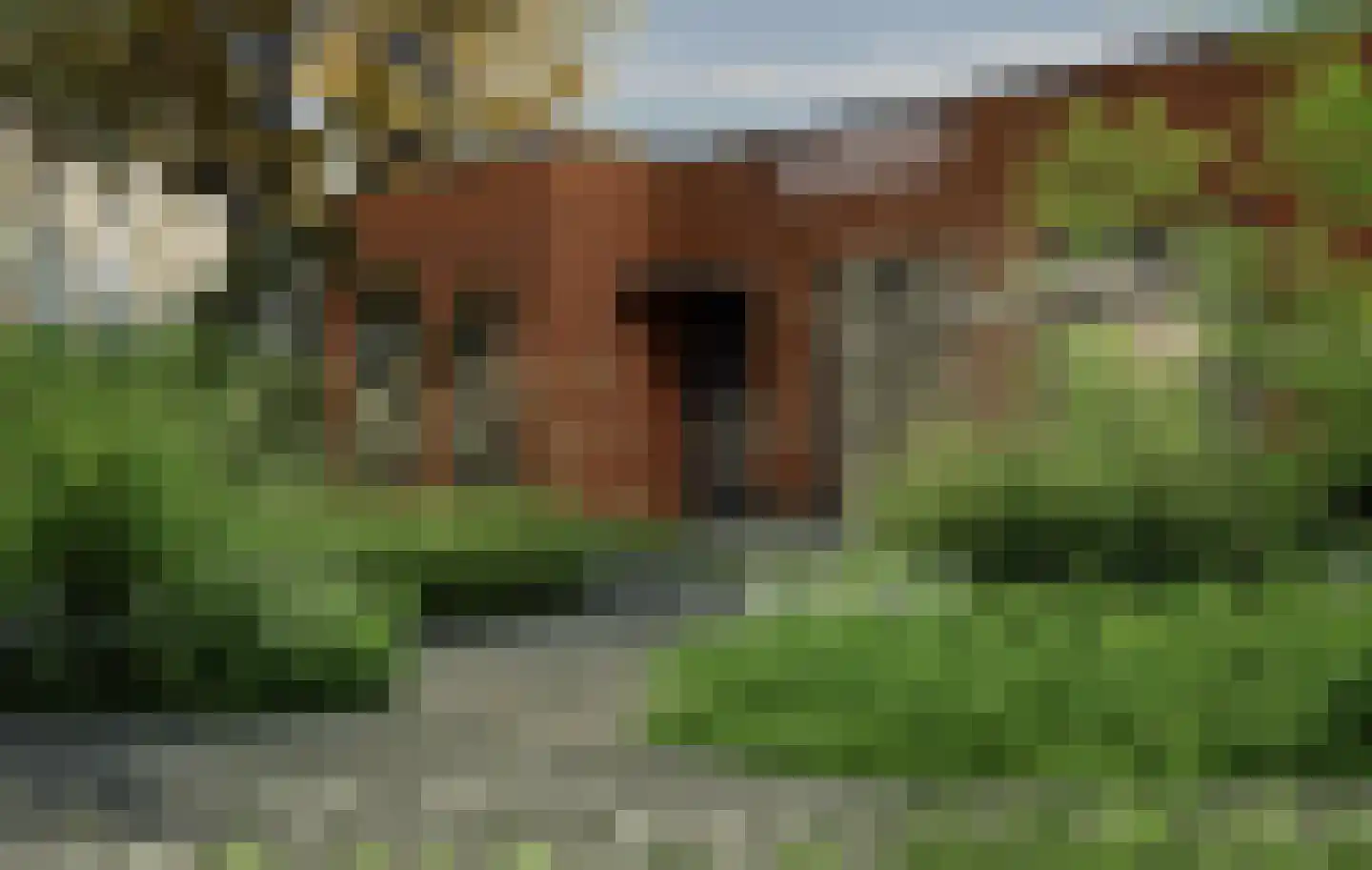 Heindertweg 11 Aarle-Rixtel thumbnail 14
