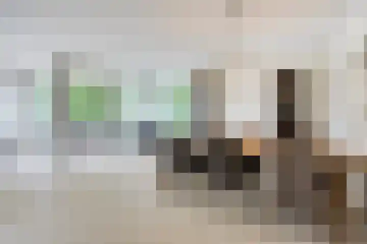 Heindertweg 135 Aarle-Rixtel thumbnail 16
