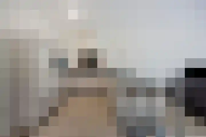 Heindertweg 135 Aarle-Rixtel thumbnail 17