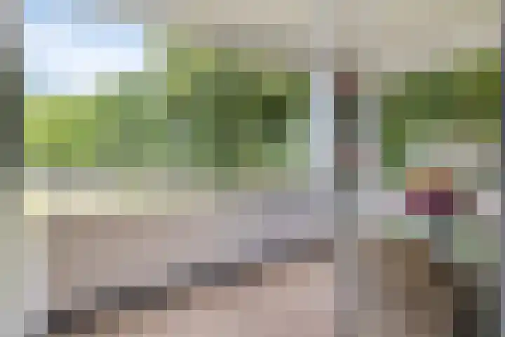 Heindertweg 135 Aarle-Rixtel thumbnail 19