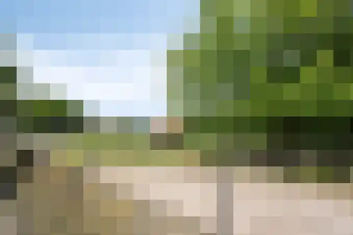 Heindertweg 135 Aarle-Rixtel thumbnail 33