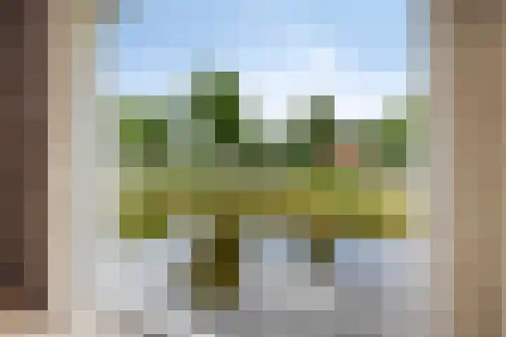 Heindertweg 135 Aarle-Rixtel thumbnail 4