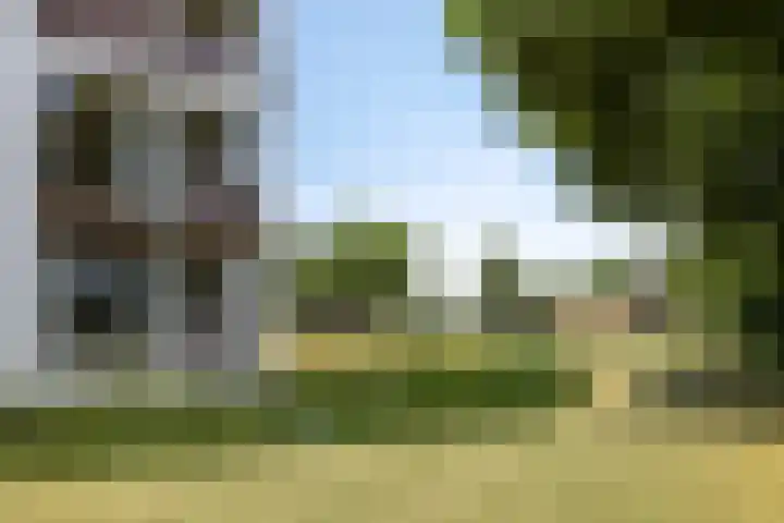 Heindertweg 135 Aarle-Rixtel thumbnail 7
