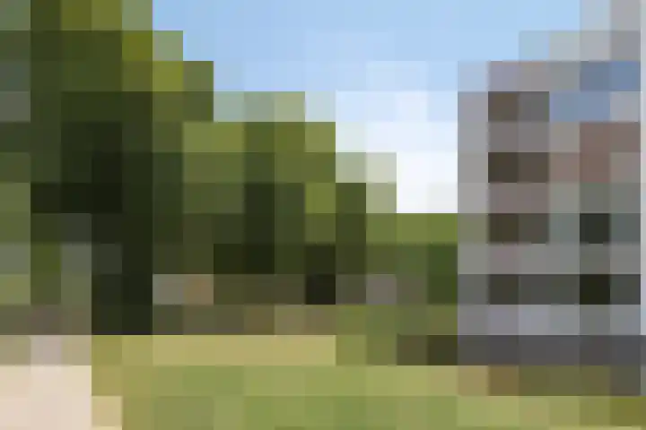 Heindertweg 135 Aarle-Rixtel thumbnail 8