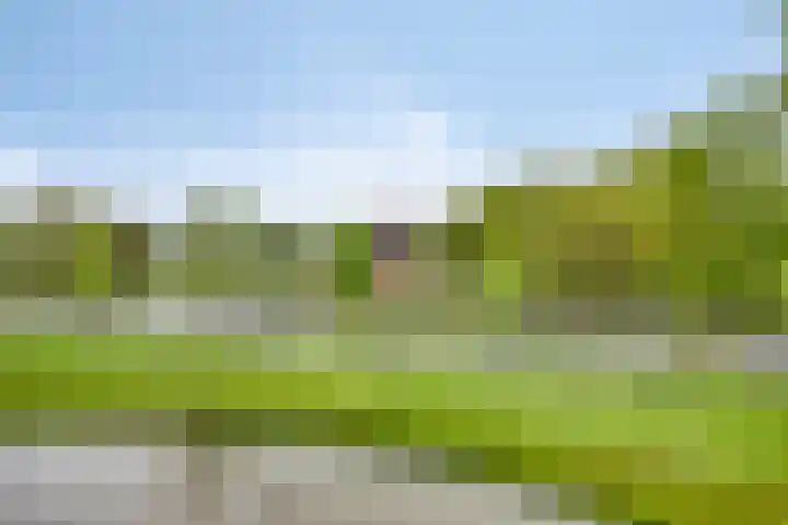 Heindertweg 139 Aarle-Rixtel thumbnail 10