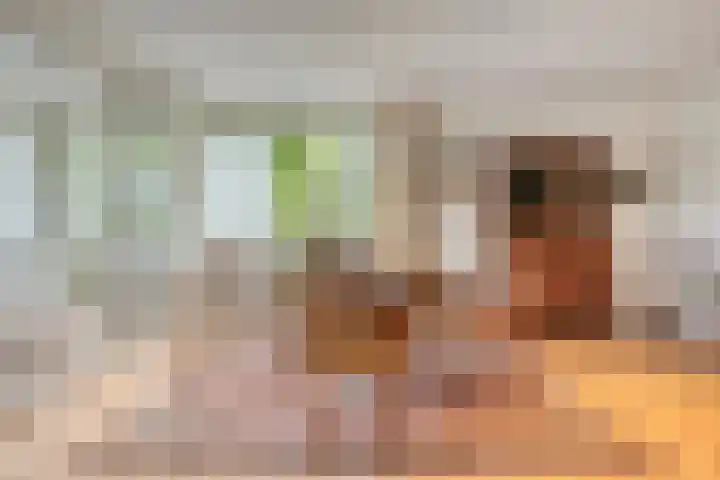 Heindertweg 139 Aarle-Rixtel thumbnail 12