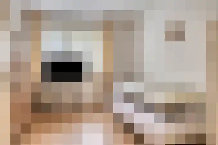 Heindertweg 139 Aarle-Rixtel thumbnail 26