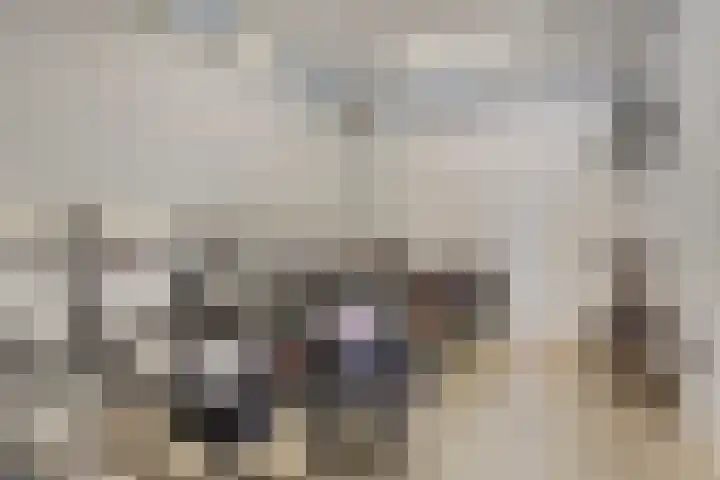 Heindertweg 139 Aarle-Rixtel thumbnail 30