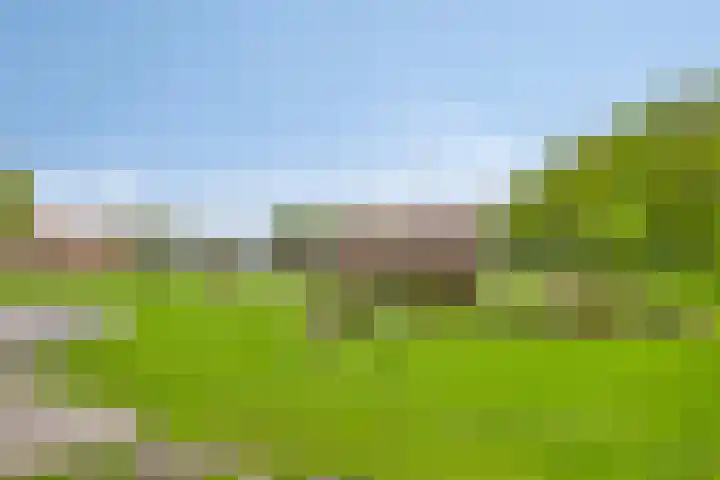 Heindertweg 139 Aarle-Rixtel thumbnail 34
