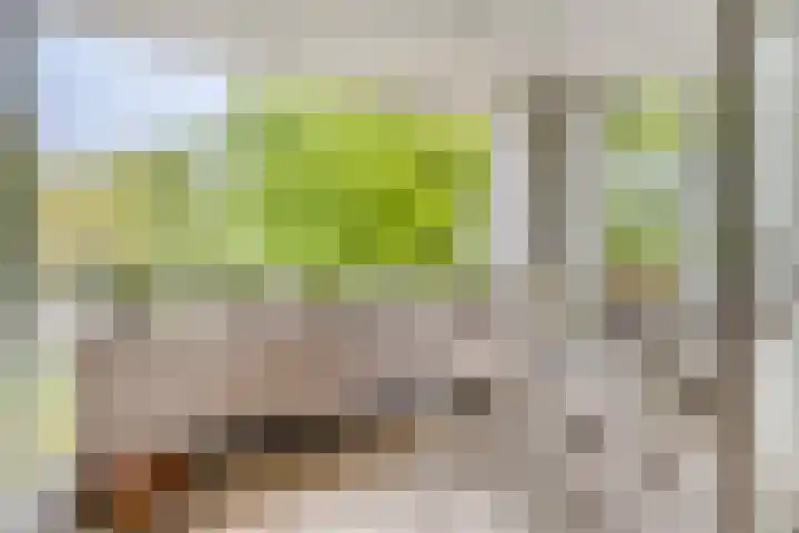 Heindertweg 139 Aarle-Rixtel thumbnail 4