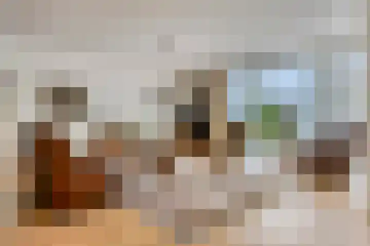 Heindertweg 139 Aarle-Rixtel thumbnail 9