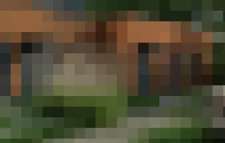 Heindertweg 3 Aarle-Rixtel thumbnail 4
