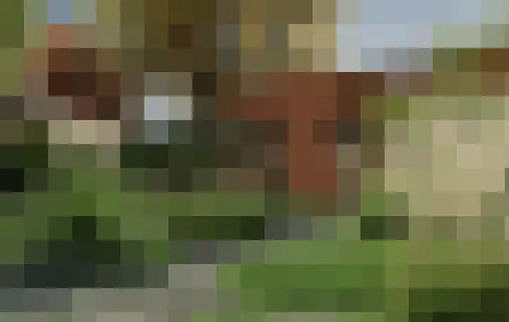 Heindertweg 3 Aarle-Rixtel thumbnail 5